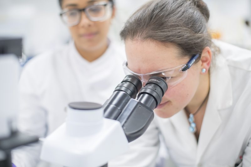 Primary Tissues header of Sygnature Discovery scientist looking through microscope