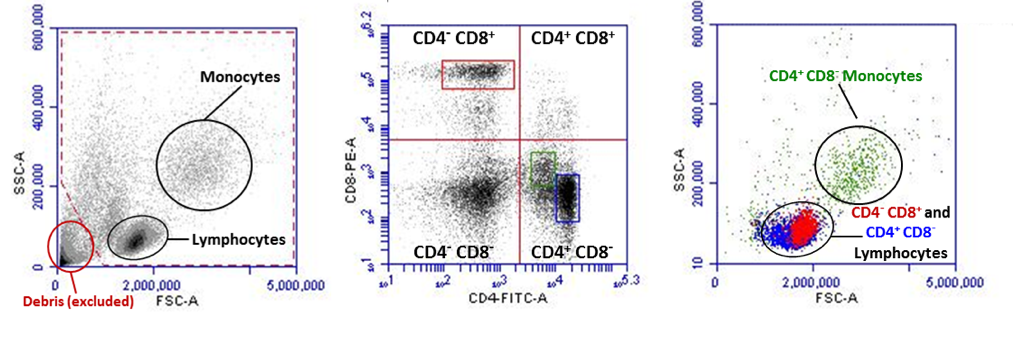 Flow Cytometry Analysis