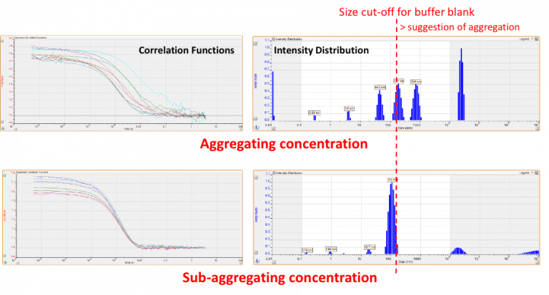 dls dynamic light scattering