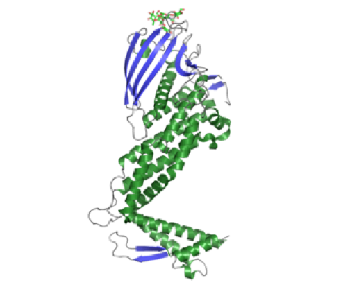 X-Ray Crystallography (XRC)