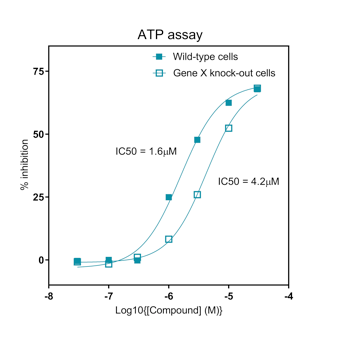 Cell Viability & Proliferation Assay Development 