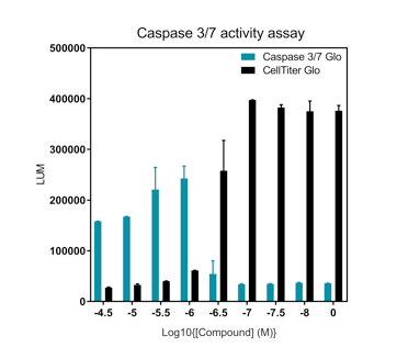 Cell proliferation and Viability