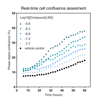 Cell Viability & Proliferation Assay Development 