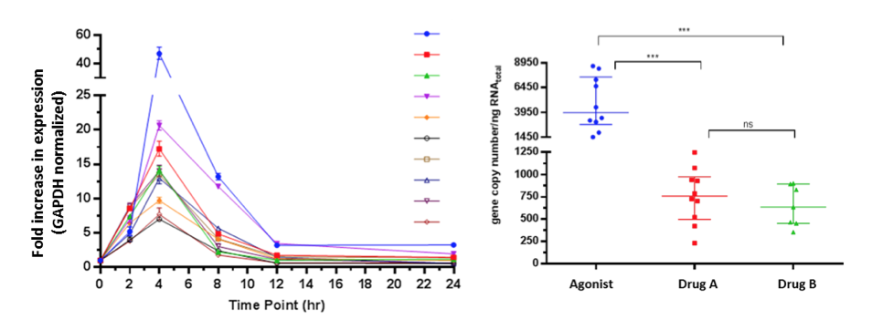 gene expression