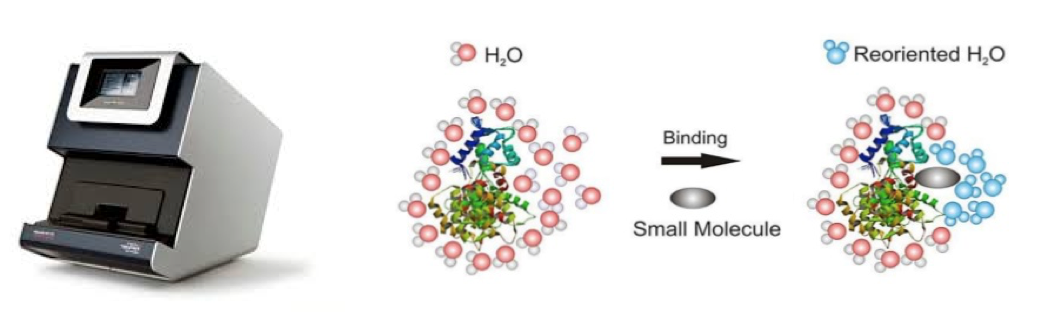 The re-orientation of water molecules following the binding of a small molecule to a target.