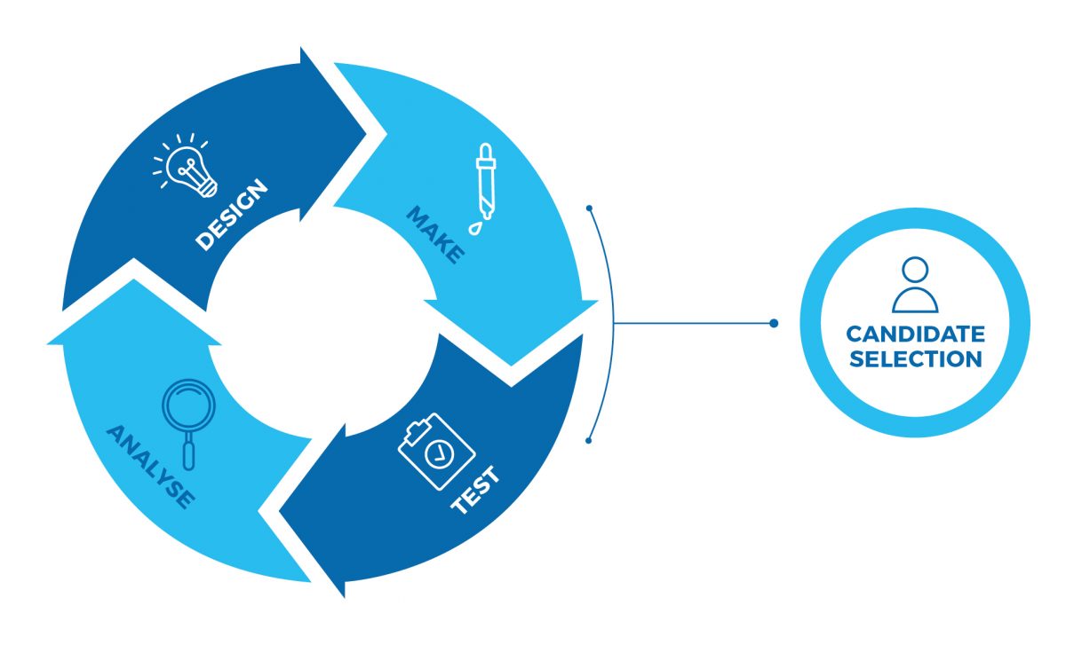 Diagram to show the lead optimisation process of drug discovery, Design, Make, Test and Analyse to candidate selection.