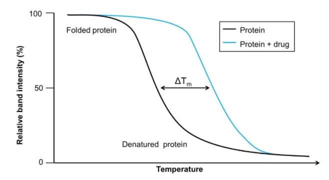 Cellular Thermal Shift Assay (CESTA)