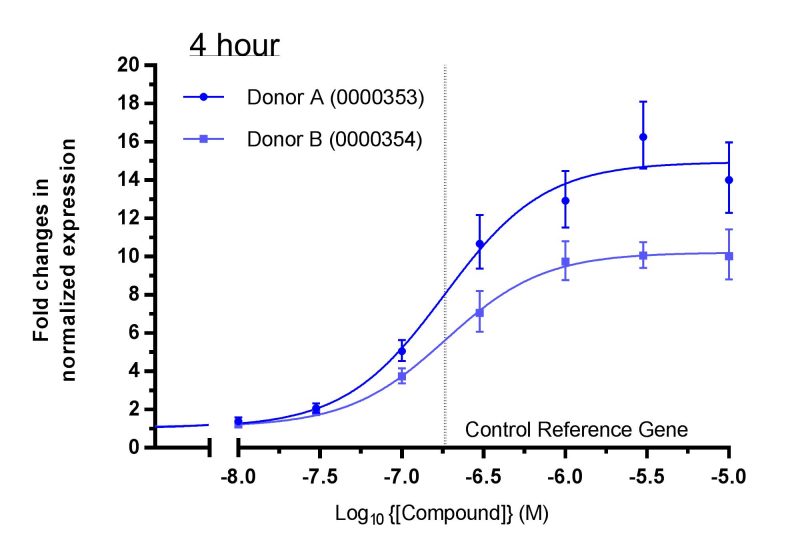 gene expression