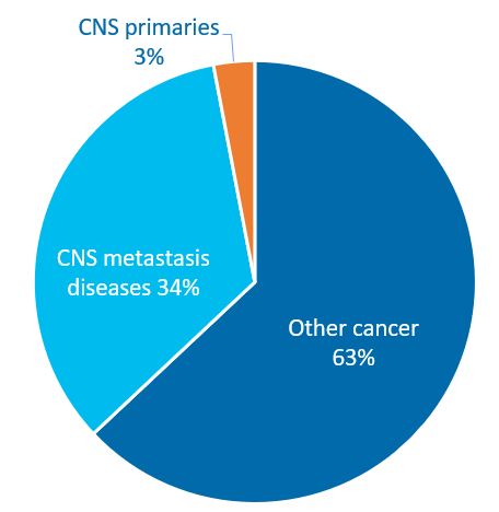 Oncology drug discovery pie chart graphic