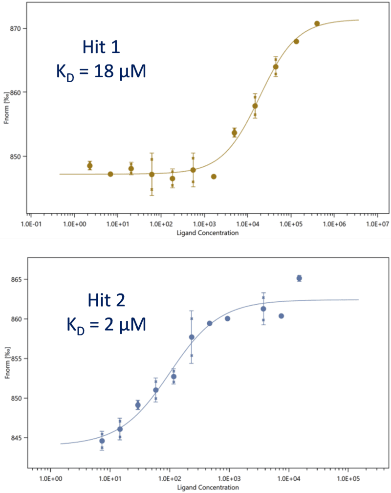 Fragment based drug discovery