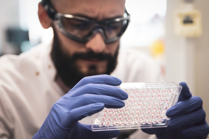 Scientist examining samples in lab