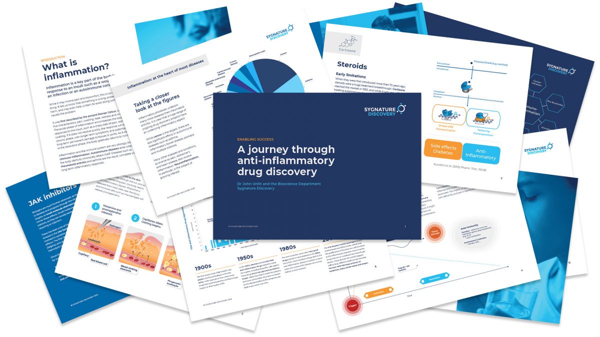 New ebook on anti-inflammatory drug discovery research