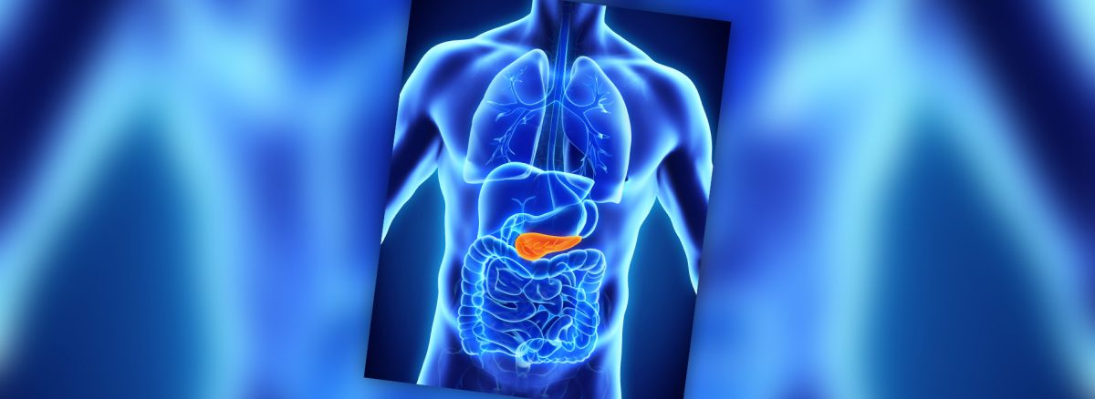 Highlighting the pancreas, the source of diabetes