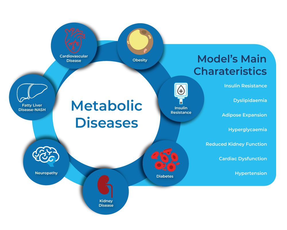 graphic of metabolic diseases and the models main characteristics