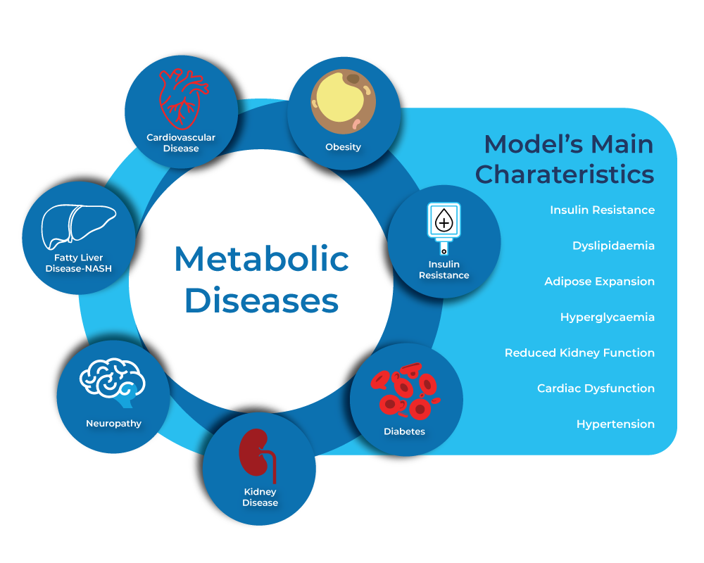 Metabolic Diseases Diagram, Main Characteristics, Sygnature Discovery graphic of metabolic diseases and the models main characteristics
