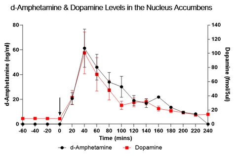 Line graph showing time‑dependent changes in d‑amphetamine and dopamine levels in the rat nucleus accumbens following drug administration. d‑Amphetamine concentrations (left y‑axis) and extracellular dopamine levels (right y‑axis) increase rapidly after dosing, peak within the first hour, and then decline gradually over time, demonstrating a temporal relationship between drug exposure and dopamine release.