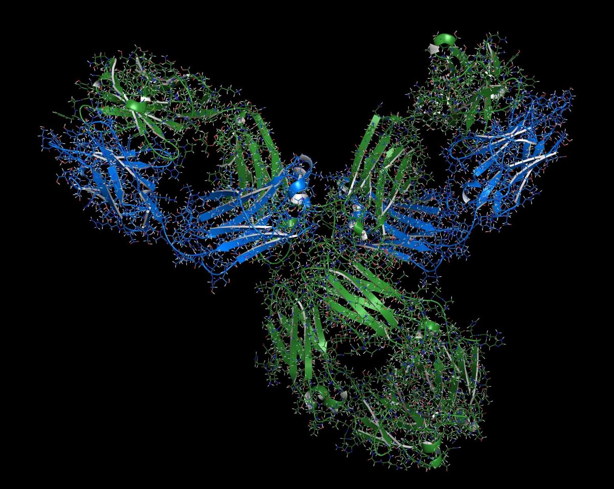 The structure of an antibody drug
