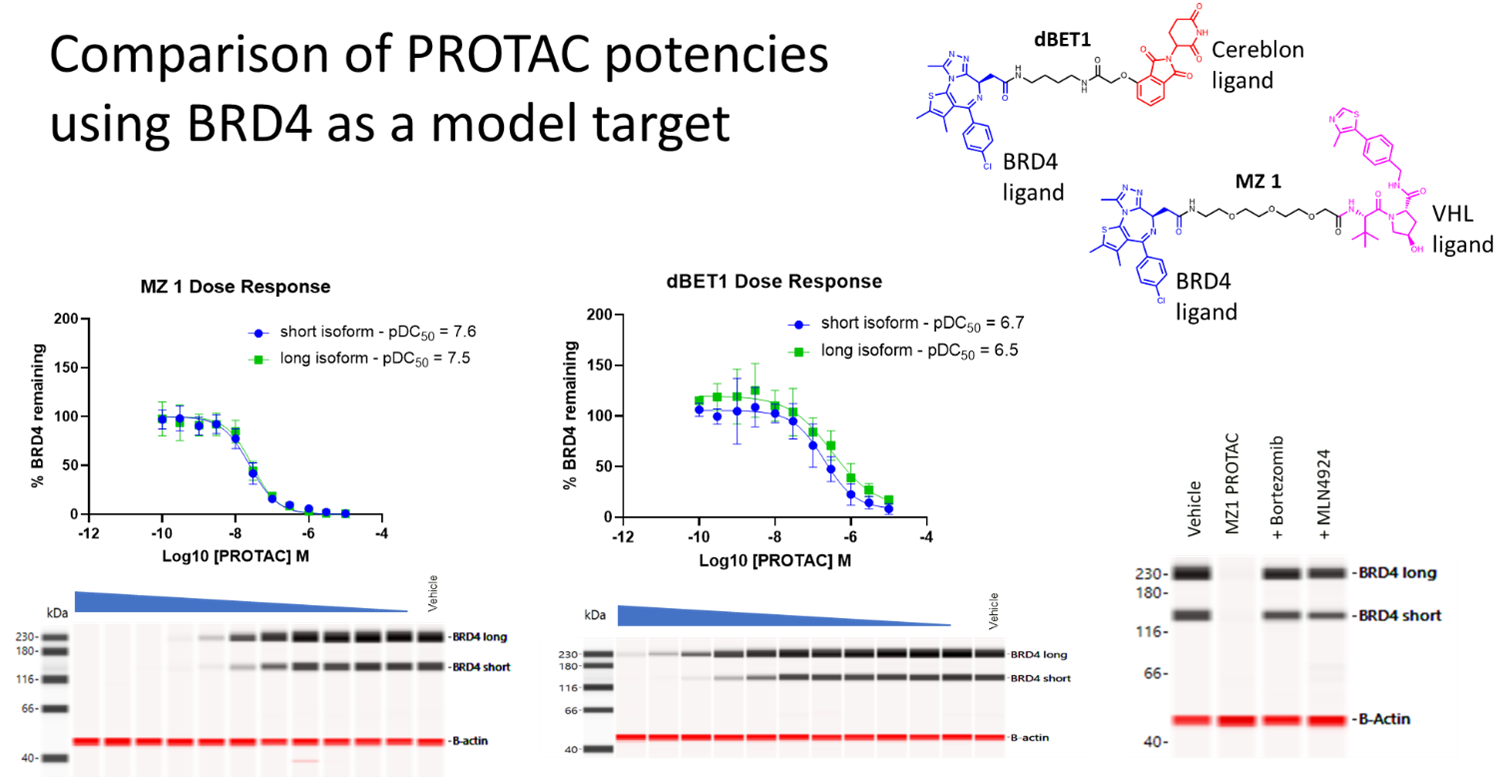 Graph illustrating the capabilities and results of the Jess system for protein degradation assessment