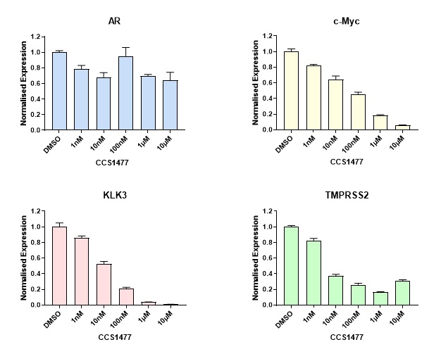 Inhibition of AR and c-Myc regulated gene expression by CCS1477