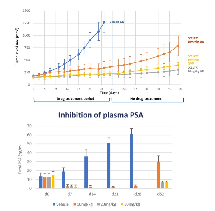 In vivo activity of CCS14877 in 22Rv1 xenograft model showing clear inhibition of tumour growth inhibition which is sustained on drug withdrawal (upper figure) and associated with a reduction in plasma PSA (lower figure)