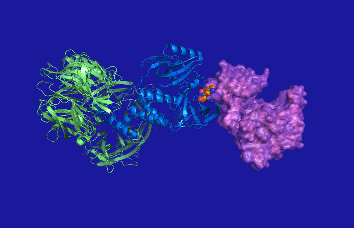 Formulating PROTACS and other Targeted Protein Degraders Sygnature