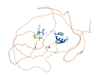 Structural representation of an intrinsically disordered protein with folded regions highlighted, illustrating its role as a challenging drug discovery target.