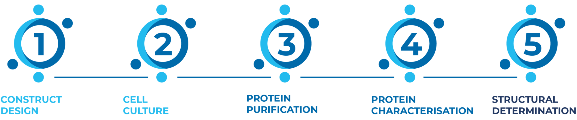 STRUCTURAL MEANING IN SCIENCE visual data 5