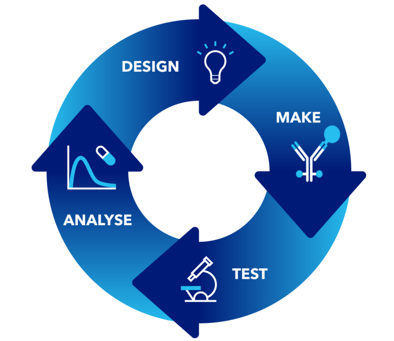 Cycle showing the design, make, test, analyse cycle that is characteristic to the ADC development pathway 