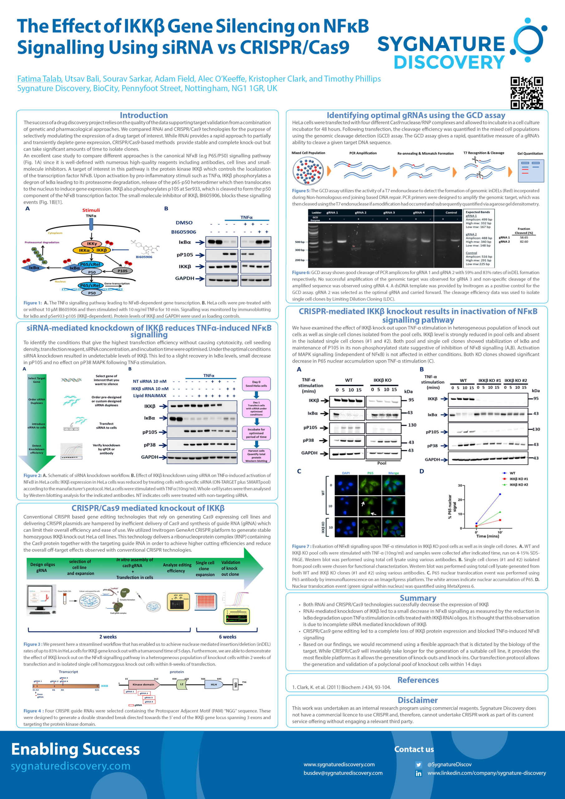 Comparing RNAi and CRISPR/Cas9 for Modulating Drug Targets: A Case Study on IKKβ in NFκB Signalling Pathway