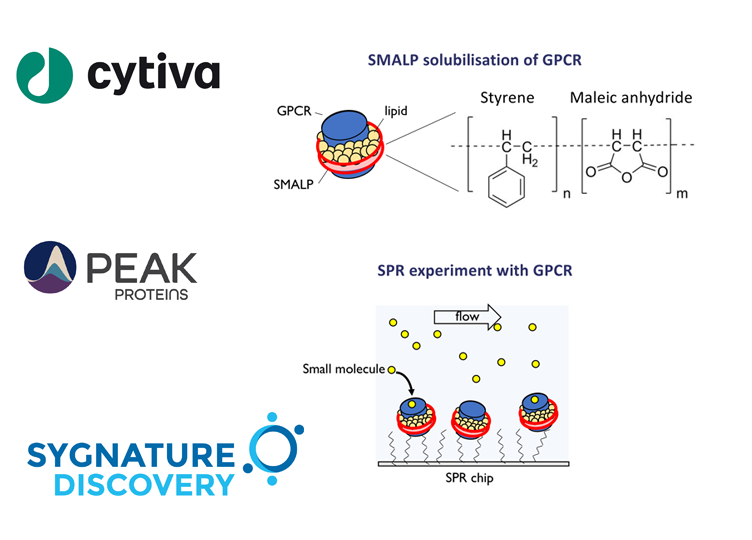 Enhancing Membrane Protein Characterisation: Sygnature, Peak Proteins & Cytiva Collaboration