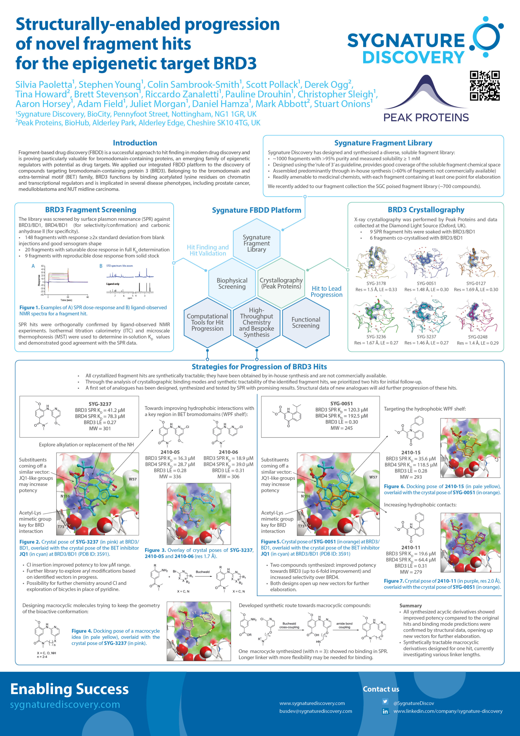Advancing Novel Fragment Hits for Epigenetic Target BRD3: A Structural Approach