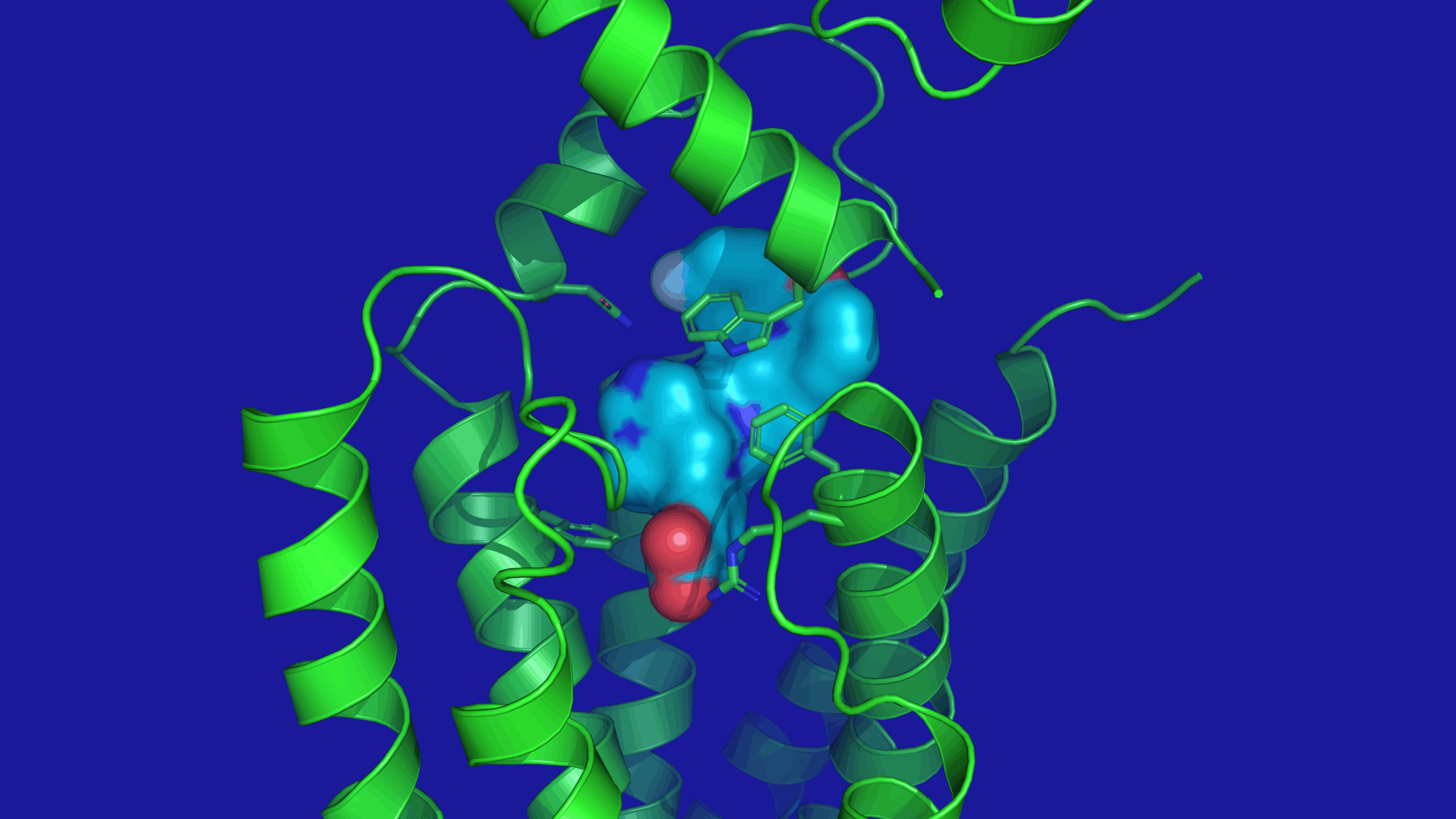 Can small molecules compete with Ozempic and Wegovy and take a seat at the GLP-1 dinner table?