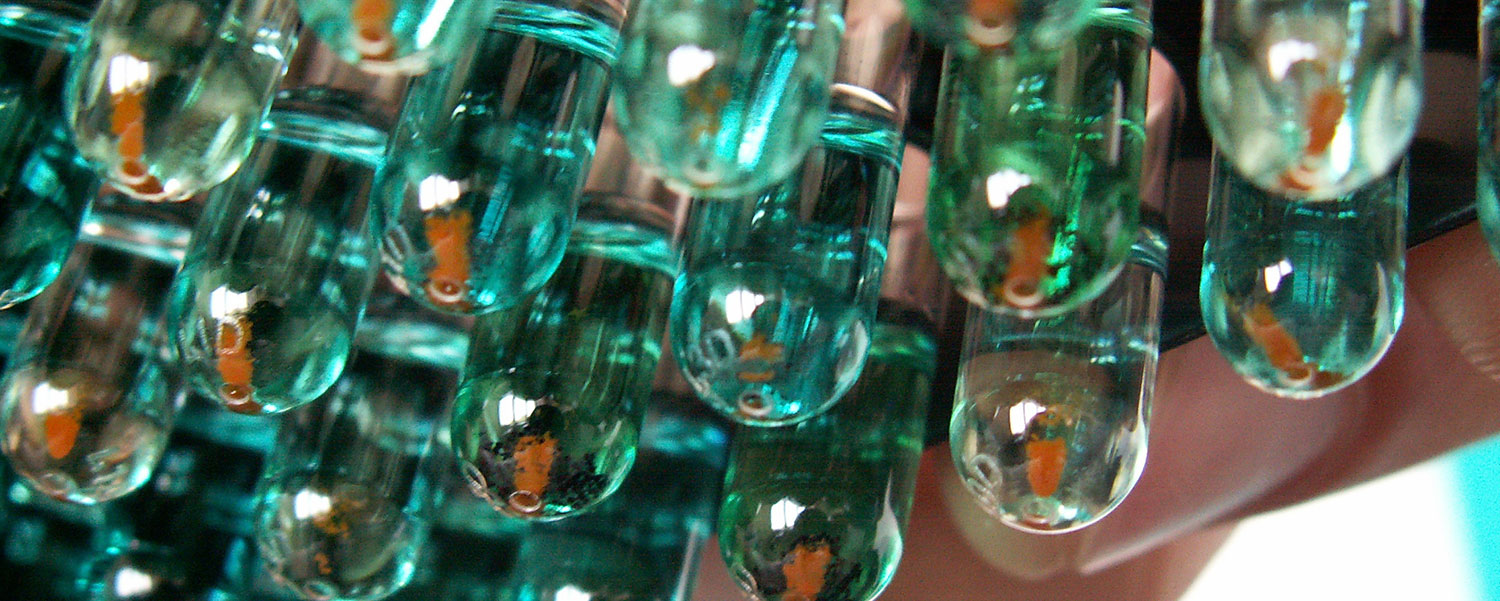 Cleaning out disease – PROTACs on the rise