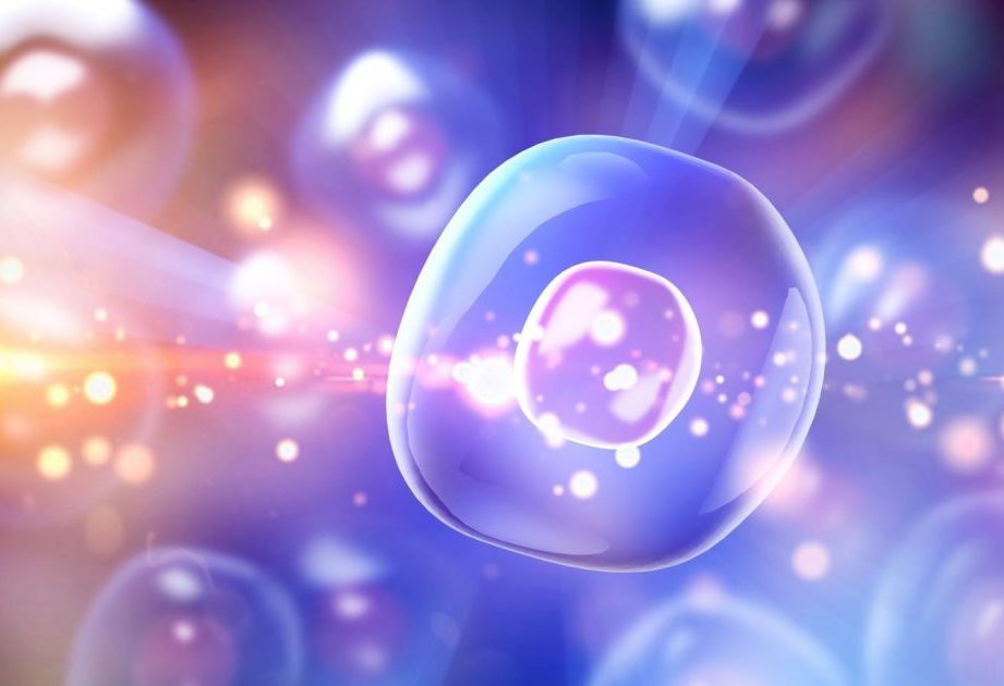 Hit-to-lead: It takes integration