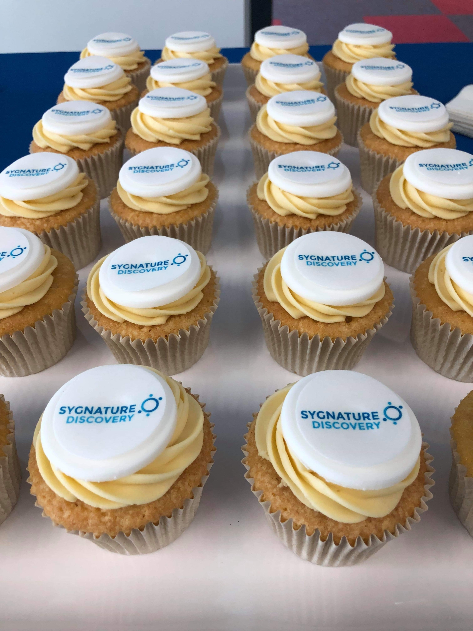 Sygnature Discovery Celebrates 15 years|Sygnature Chemical Services second logo|Sygnature Chemical Services final logo|Graduate Trainee Programme header|Senior Computational Chemist header|||