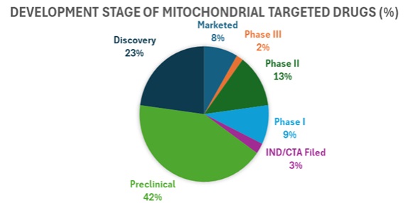From Lab to Market: The Future of Mitochondrial Function in Neurodegeneration Therapy