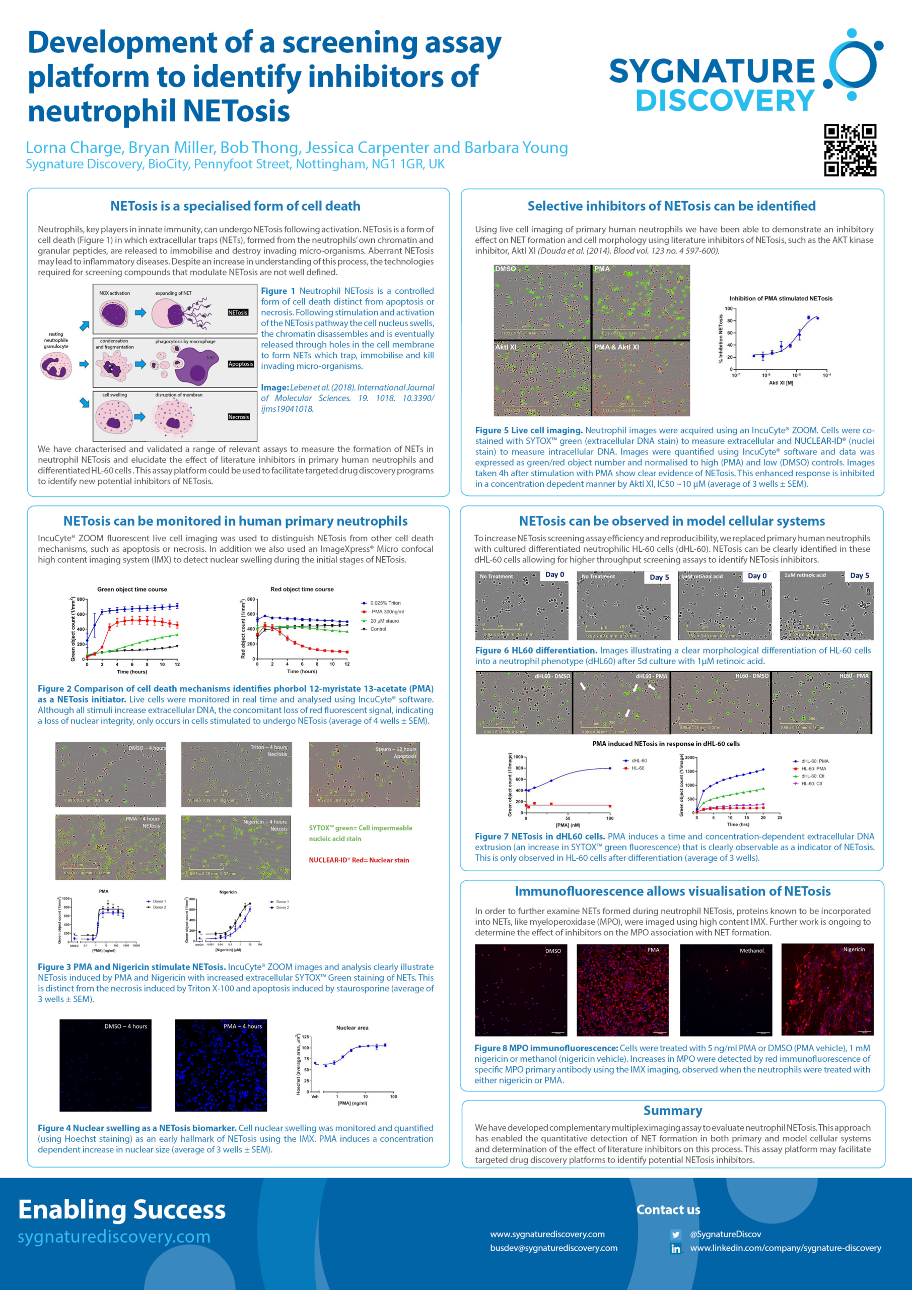 Development of a screening assay platform to identify inhibitors of neutrophil NETosis