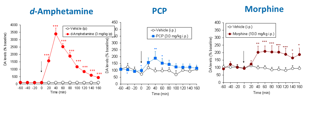 Intracerebral Microdialysis