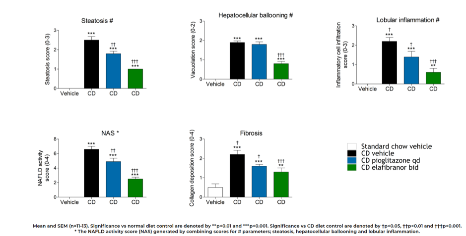 The CD model of NASH and fibrosis