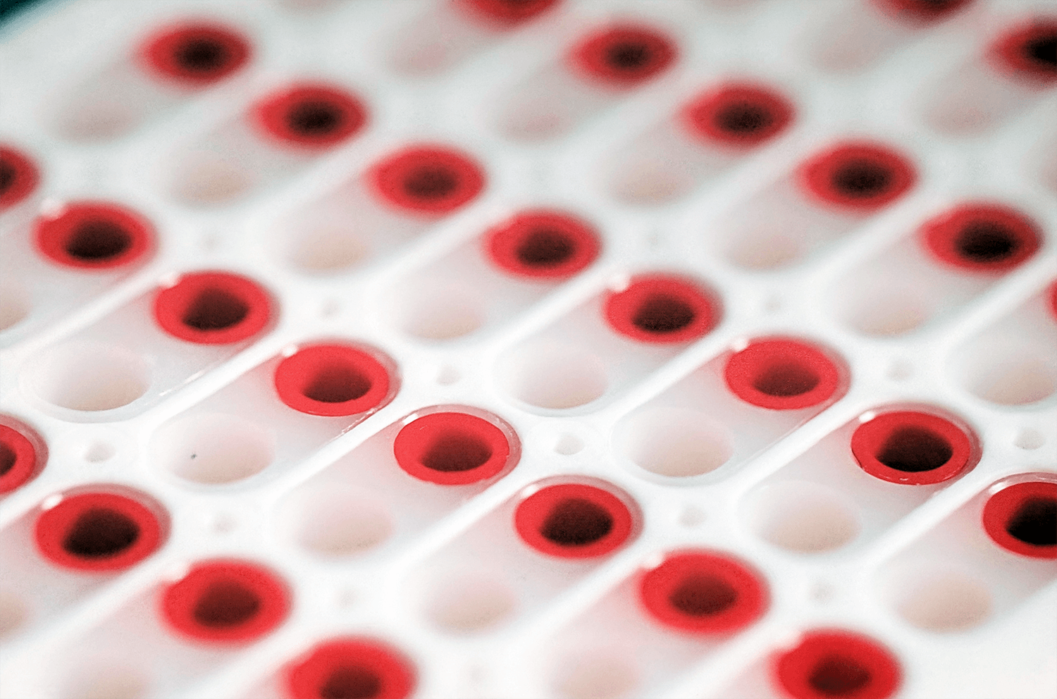 Plasma protein binding: Important, needed, non-optimisable