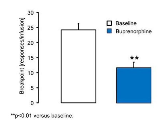 Substance Use Disorders: Cessation of drug self-administration