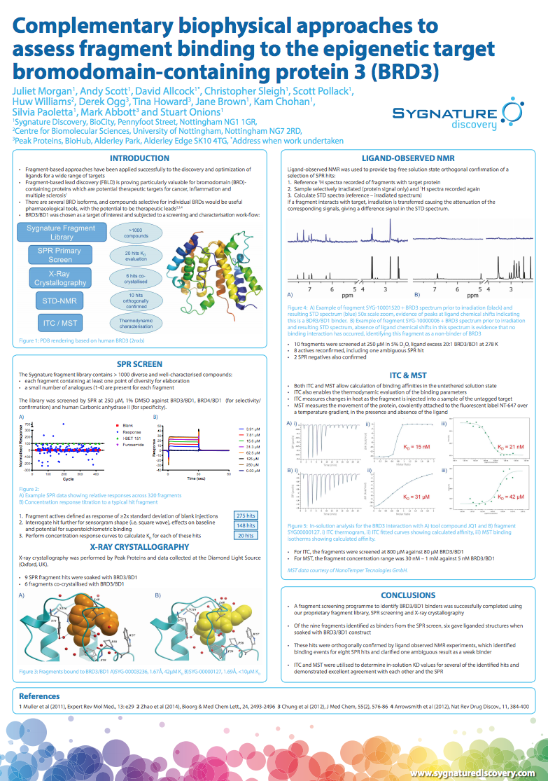 Complementary Biophysical Approaches to Assess Fragment Binding