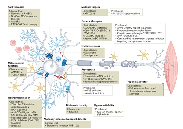 Delivering for ALS patients: ‘Good Decision Tools’ in Research are good for patients and good economics