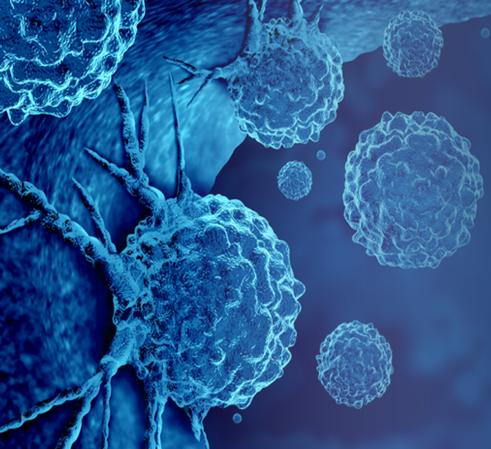The resurgence of small molecule immuno-oncology therapies