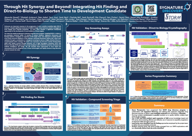 Preview of Sygnature Discovery poster illustrating Hit Synergy