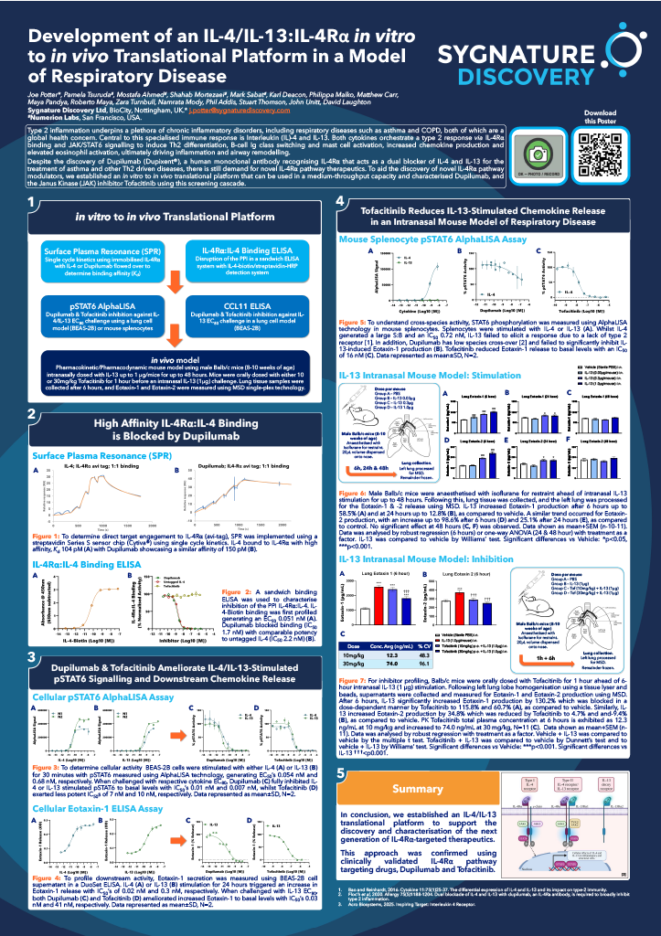Graphical summary of Sygnature Discovery’s IL-4/IL-13:IL-4Rα translational platform