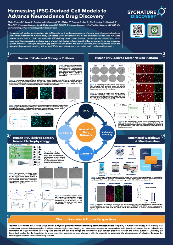 Preview of Sygnature Discovery poster on harnessing iPSC-deried cell models for neuroscience drug discovery