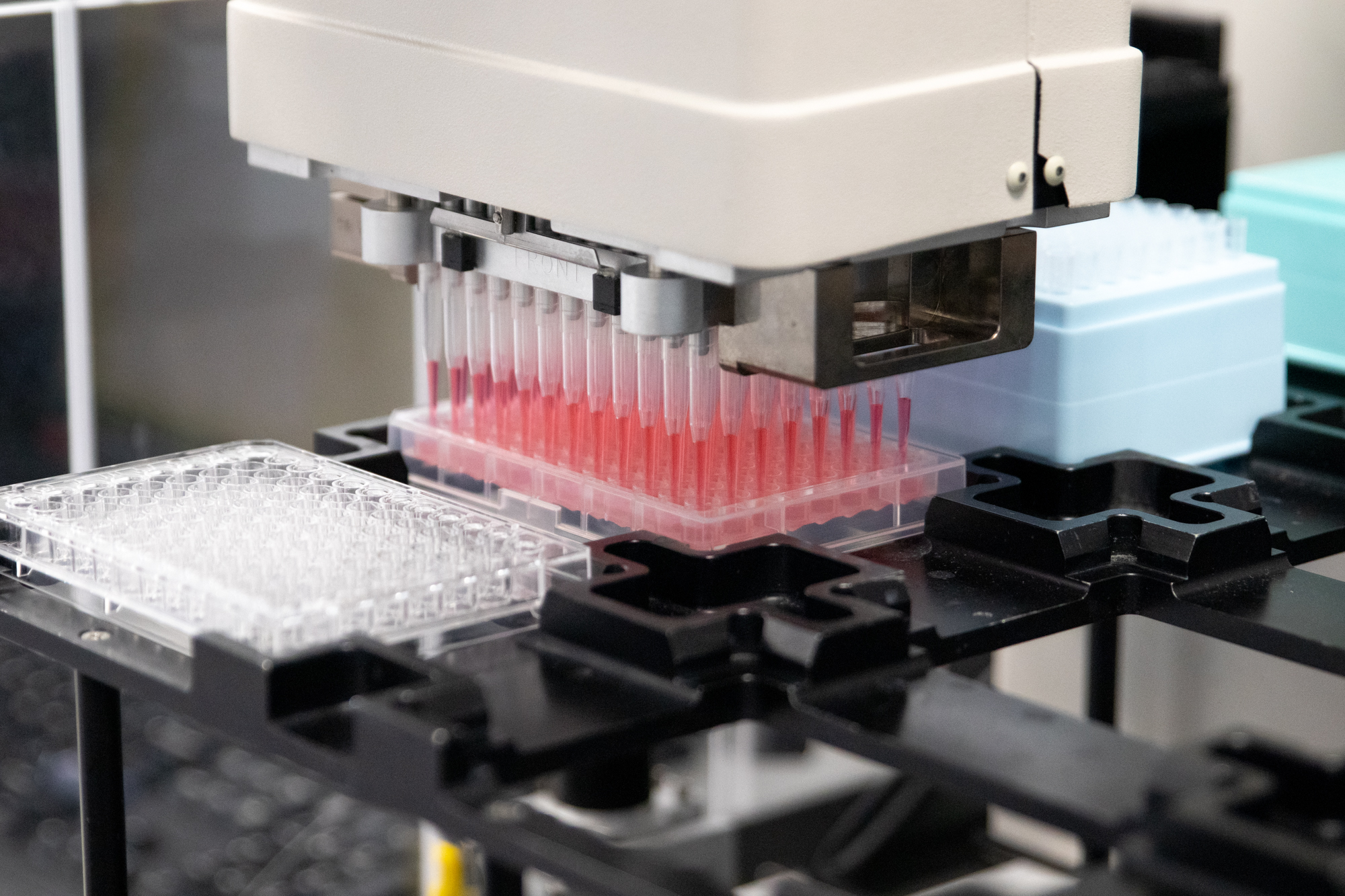 Effective Strategies for Successful Hit Identification in Drug Discovery