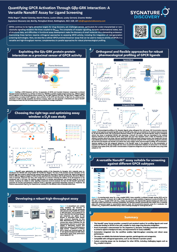 Feature image showing Sygnature Discovery’s NanoBiT GPCR biosensor workflow illustrating Gβγ-GRK interaction and live-cell assay design.