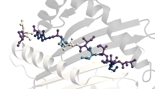 A Comparison of the Structural Techniques used at Sygnature Discovery: X-ray Crystallography, NMR and Cryo-EM